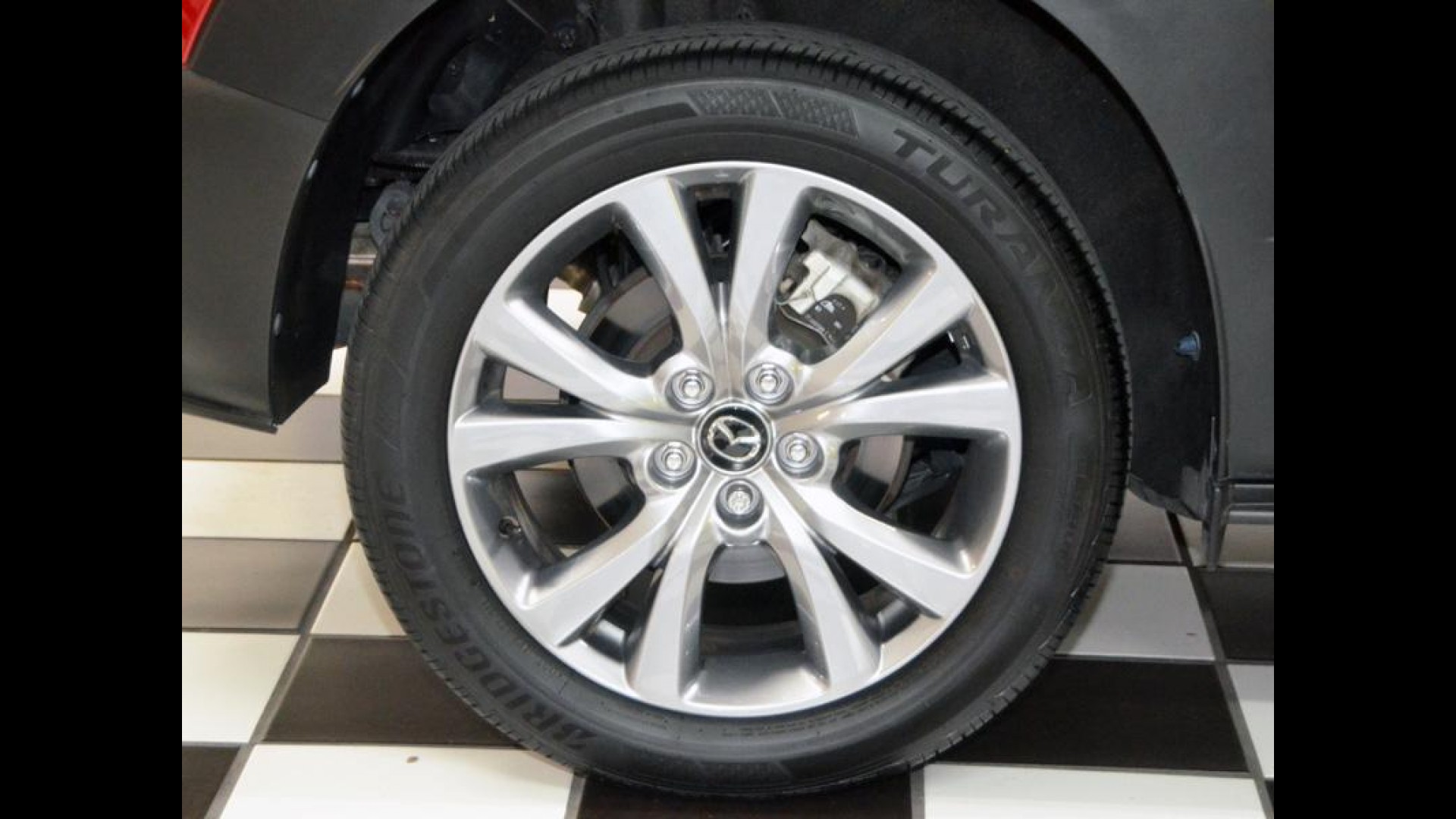 St. Petersburg Tampa Largo Pinellas Park Florida | Genuine