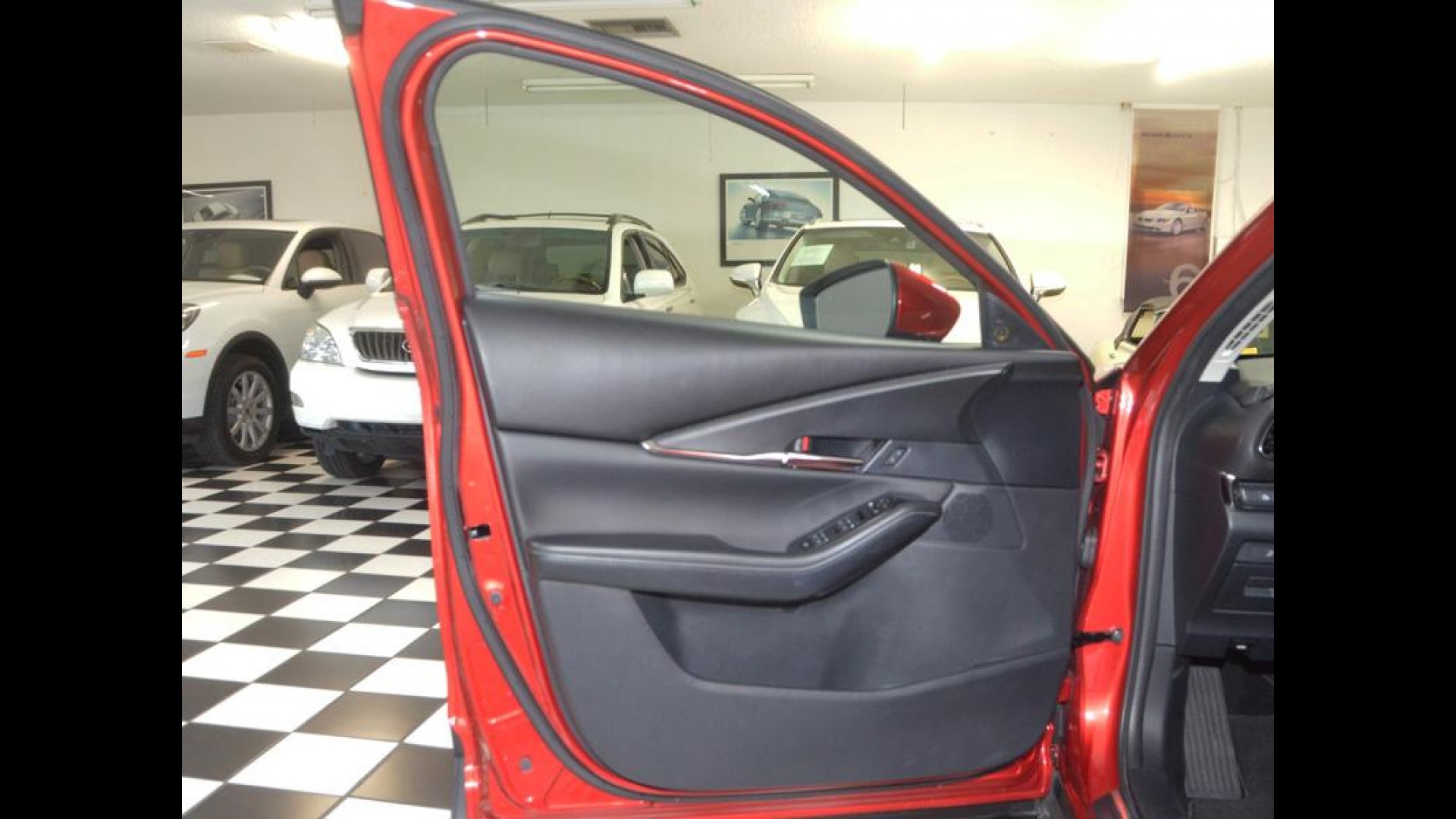 St. Petersburg Tampa Largo Pinellas Park Florida | Genuine