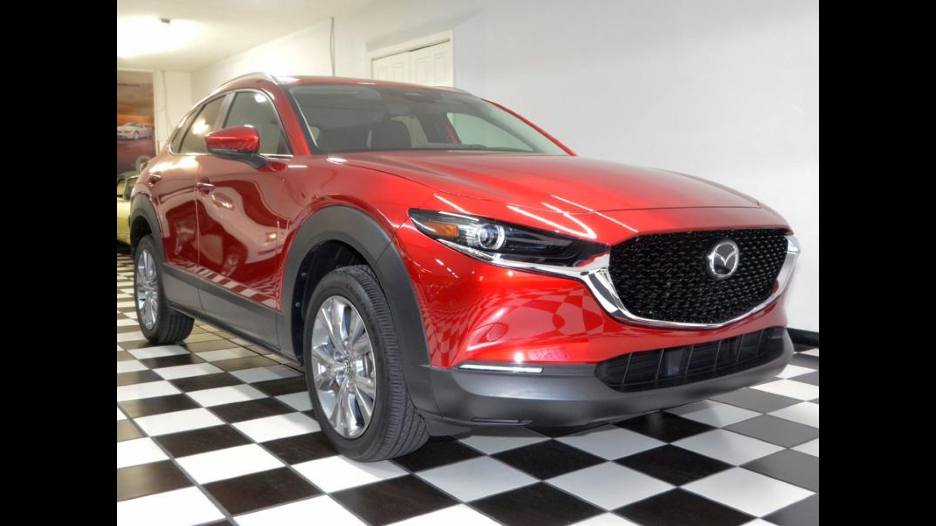 St. Petersburg Tampa Largo Pinellas Park Florida | Genuine